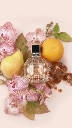 Jimmy Choo Eau De Parfum -Redken Butik 105827 1096 1687415792