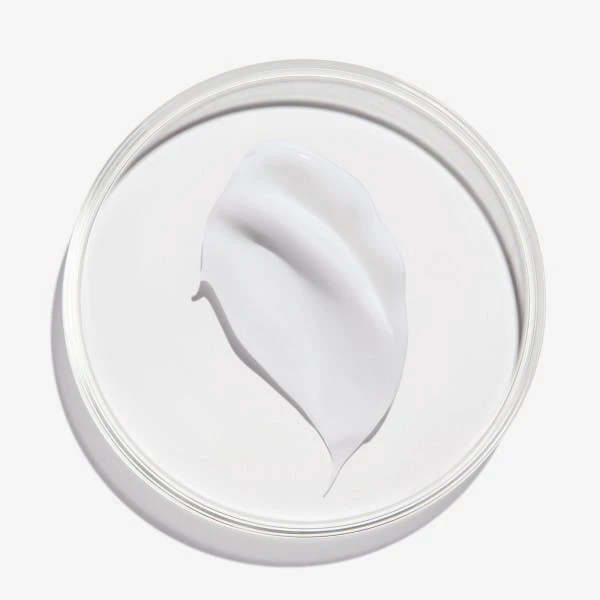 Redken Frizz Dismiss Rebel Tame 4 Redken Frizz Dismiss Rebel Tame - Bild 4