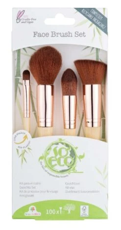 Face Brush Kit