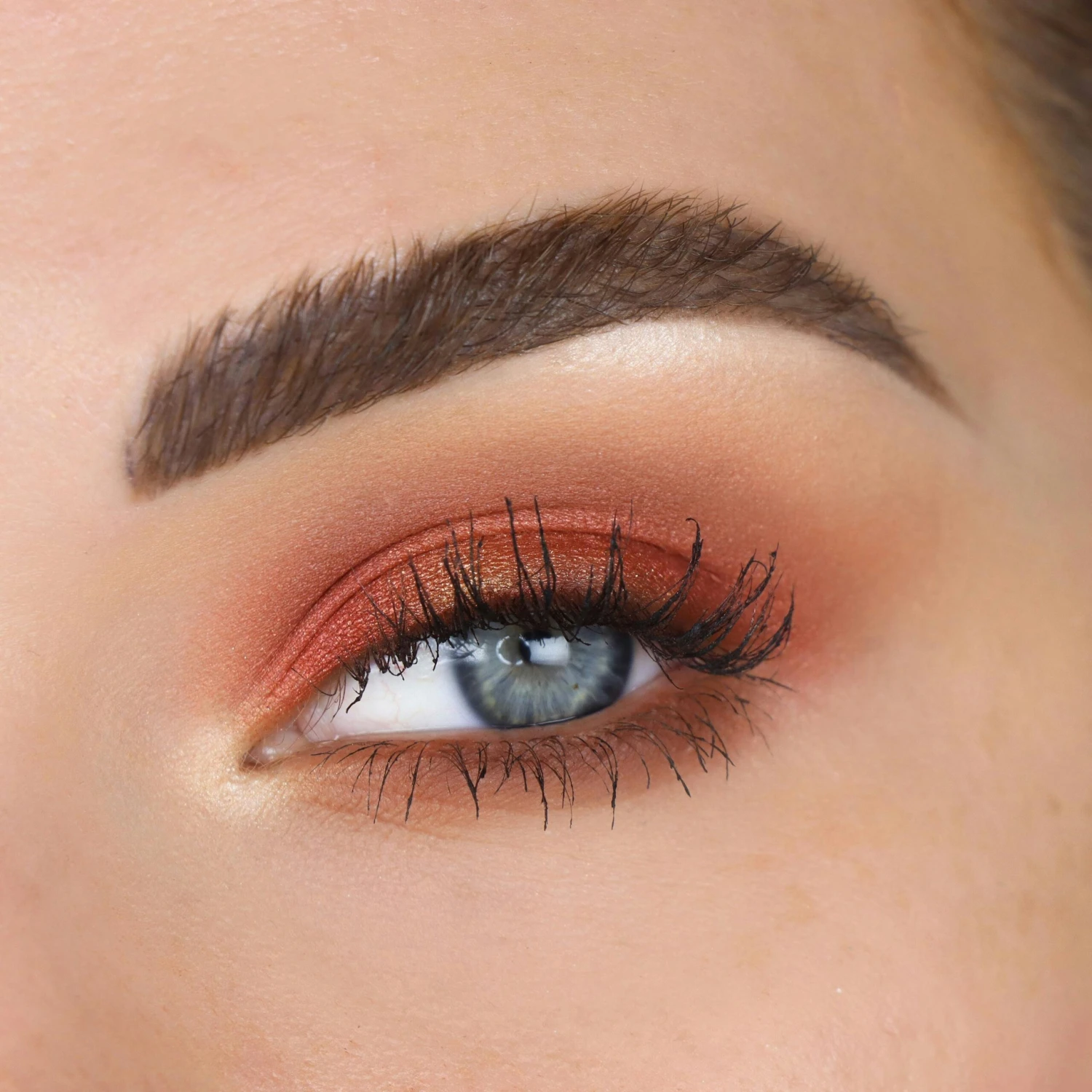 Male Order First Class Eyeshadow Palette 5 Male Order First Class Eyeshadow Palette - Bild 5